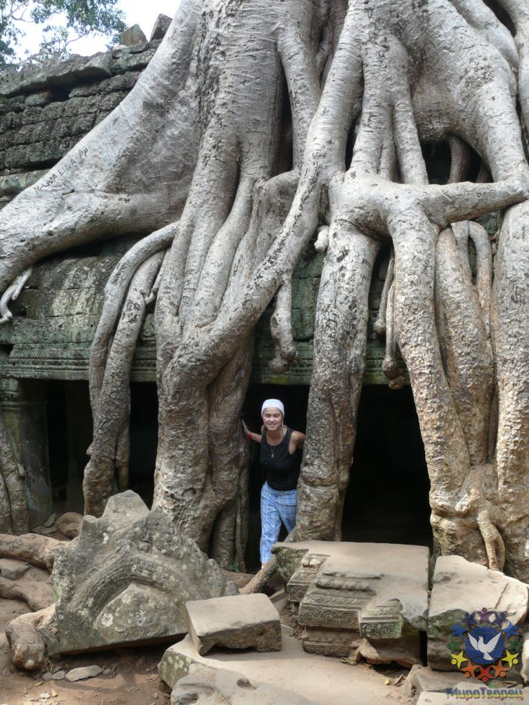 Храм был построен в XII веке и имеет сказочный вид.  В отличие от других храмов Ангкора, Та Пром не стали расчищать от джунглей. Он весь переплетен гигантскими корнями деревьев. Даже на крышах храмов растут огромные стволы. Крыши и стены прогибаются, но всё же стоят. - Камбоджа декабрь 2010г.
