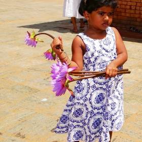 Паломники в храм приходят с цветами - Шри-Ланка 2017. Часть 2.